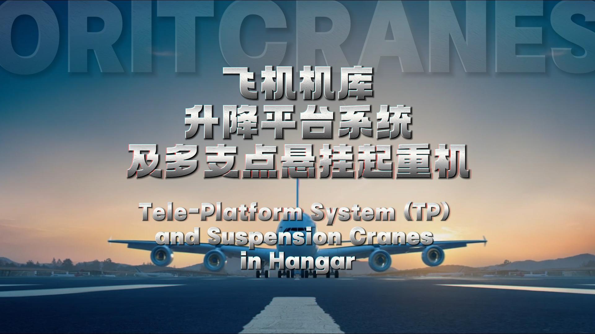 奧力通航空起重機(jī)及升降平臺(tái)TP